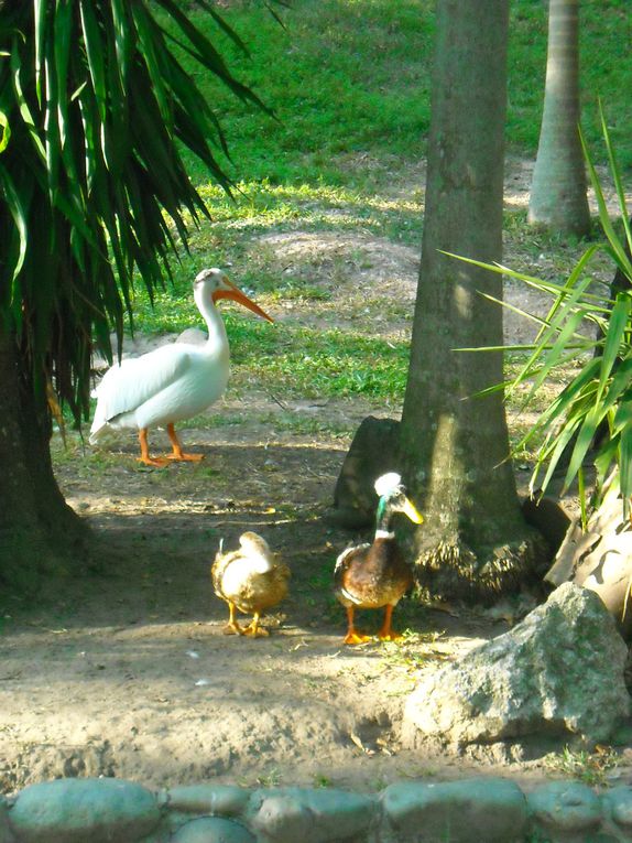 Album - 115- Entre-mexico-et-le-yucatan