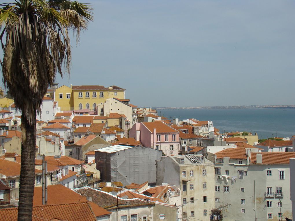 Virée au Portugal du 23 au 26 avril avec, dans l'ordre : Lisbonne, Sintra, Cascais, Coimbra et Porto.