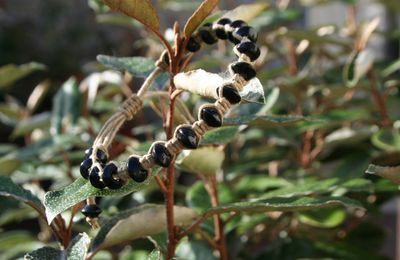 Bracelet tawny savannah