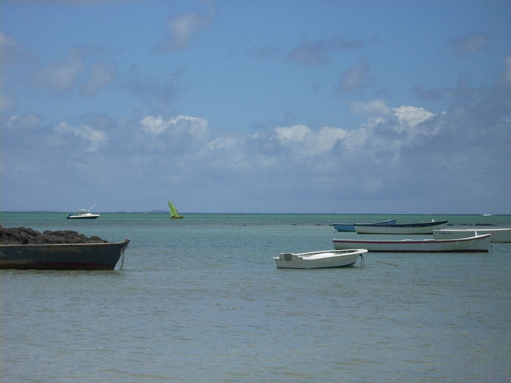 Photos prises lors de notre séjour sur l'ile Maurice.