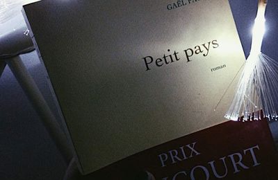 Lecture 1: Petit pays