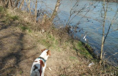 Seilh : Des bords de l'Aussonnelle à la Garonne