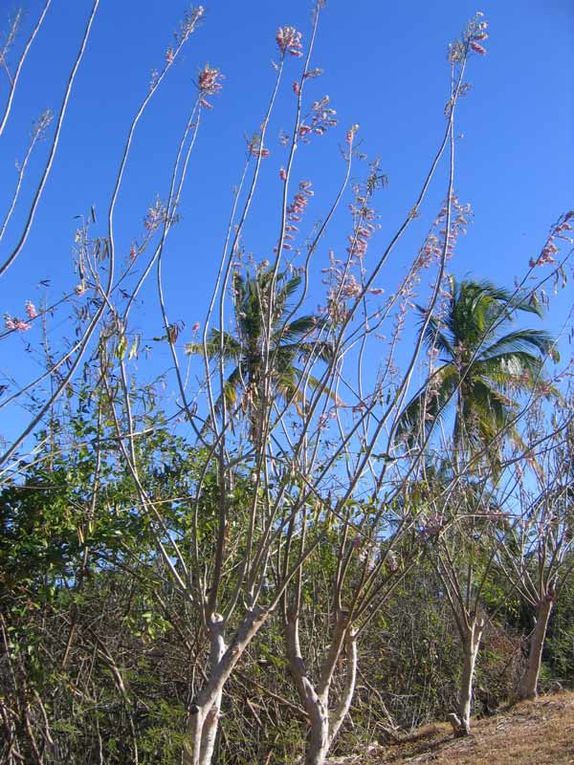 1ère rencontre avec Mayotte