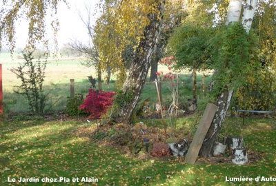 Automne et jolie couleur .....................