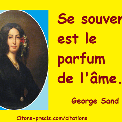 Blogs Citations Les Meilleurs Articles