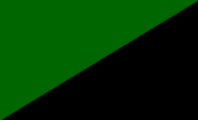 Bandiera dell'anarchismo verde