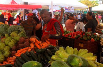  Más de 7 mil personas beneficiadas con Jornada Social “Feria del Campo Soberano” al sur de Valencia