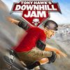 Jeu WII: Downhill Jam