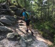 Dernière sortie : les 25 bosses à Fontainebleau