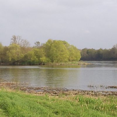 Balade ligérienne : Ste Gemmes sur Loire