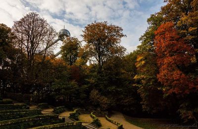 Automne a Laeken 