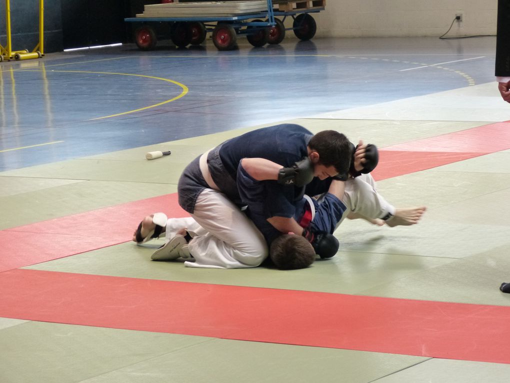 2e partie des photos de la compétition de Nihon Budo du 10 mai 2015 au gymnase des droits de l'Homme à Guyancourt.