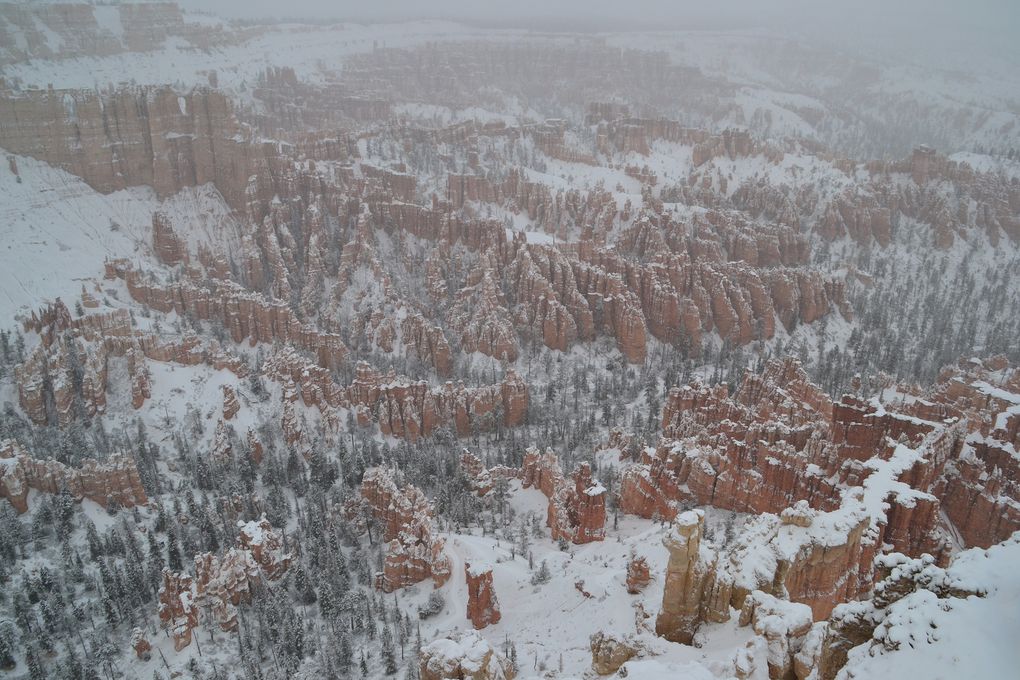 Bryce Canyon et Zion National Parks