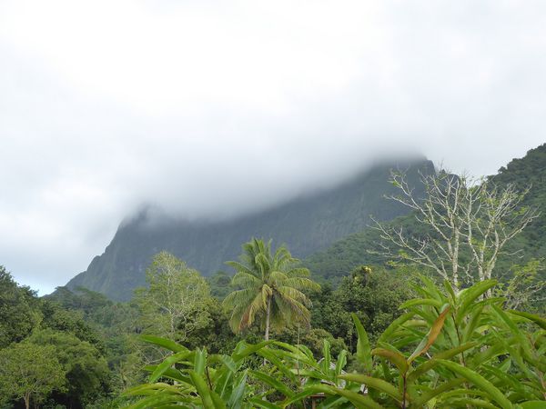 Raiatea et Taha'a