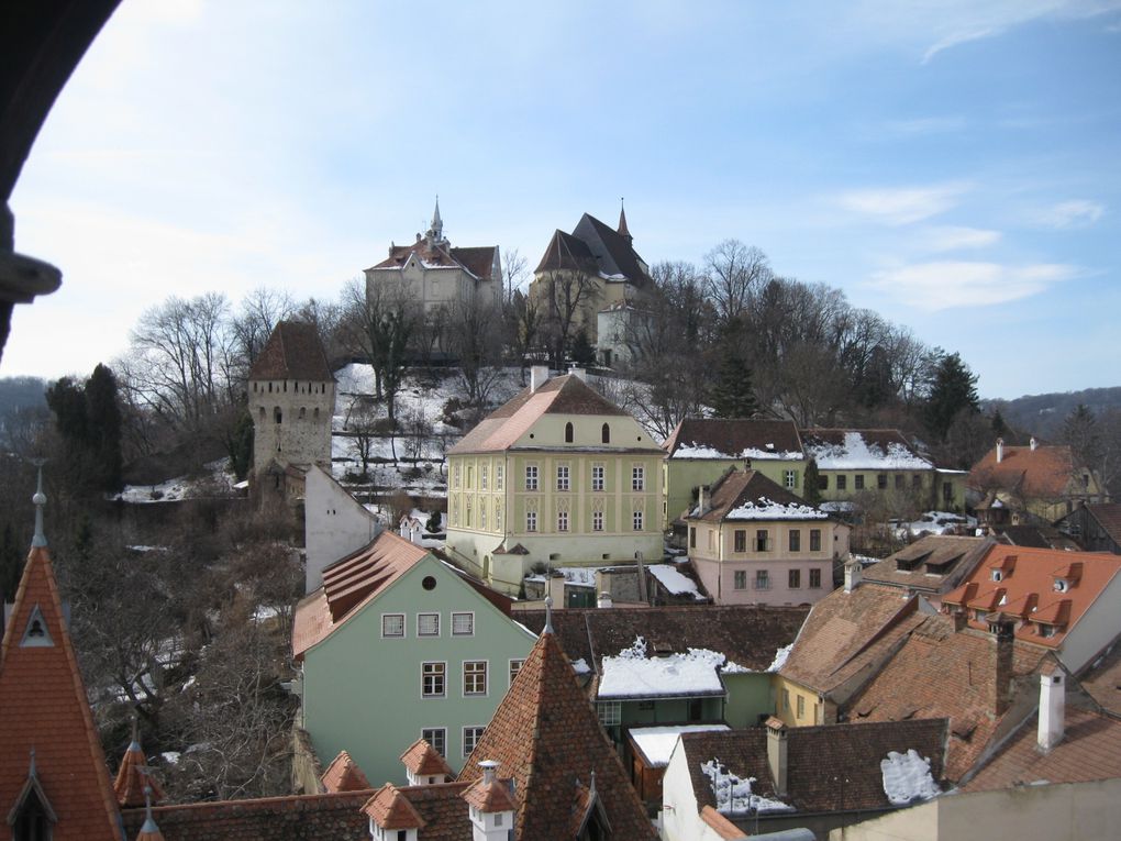 Sighisoara, le château de Bran et la mine de sel