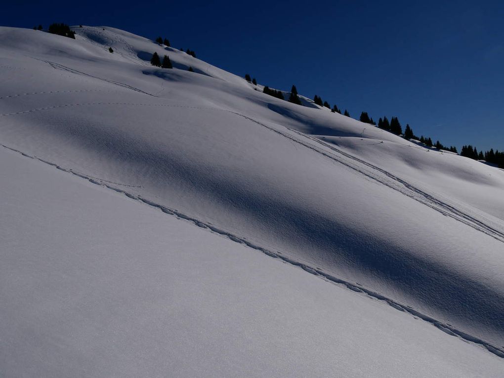 Pointe d'Orsière 1750m - (Aravis)