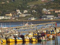 ET CHILOE NOUS ACCEUILLE SOUS LE SOLEIL ET AU MILIEU DE SES PARCS À HUITRES......