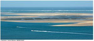 6ème parc naturel marin français, celui du bassin d’Arcachon