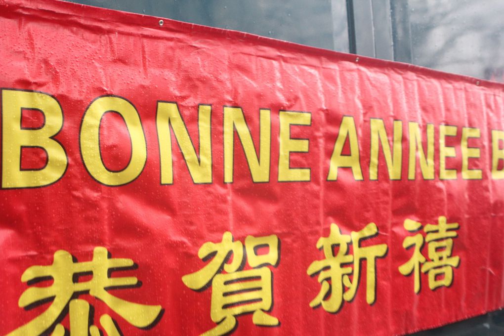 Défilé du Nouvel An Chinois (Paris le 14/02/2016)