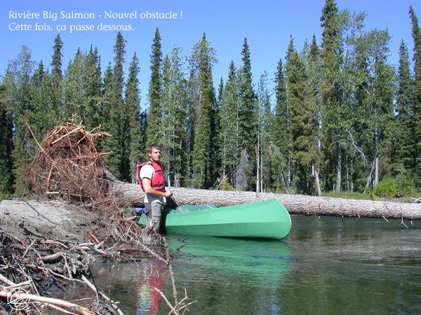 Été 2008 : Rivières Big Salmon et Yukon