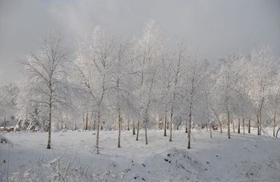 paysages de neige