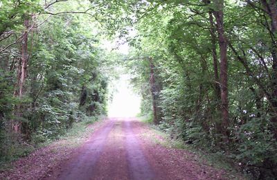 Un Chemin d'Eveil, de Croissance personnelle et Spirituelle : Aujourd'hui, 12 septembre...