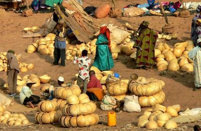 26/01 - Mopti le marché