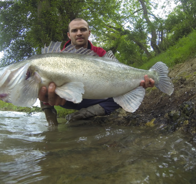 Meilleurs voeux et bonne santé à tous ...