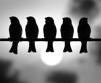 Second One Finally 😍😍