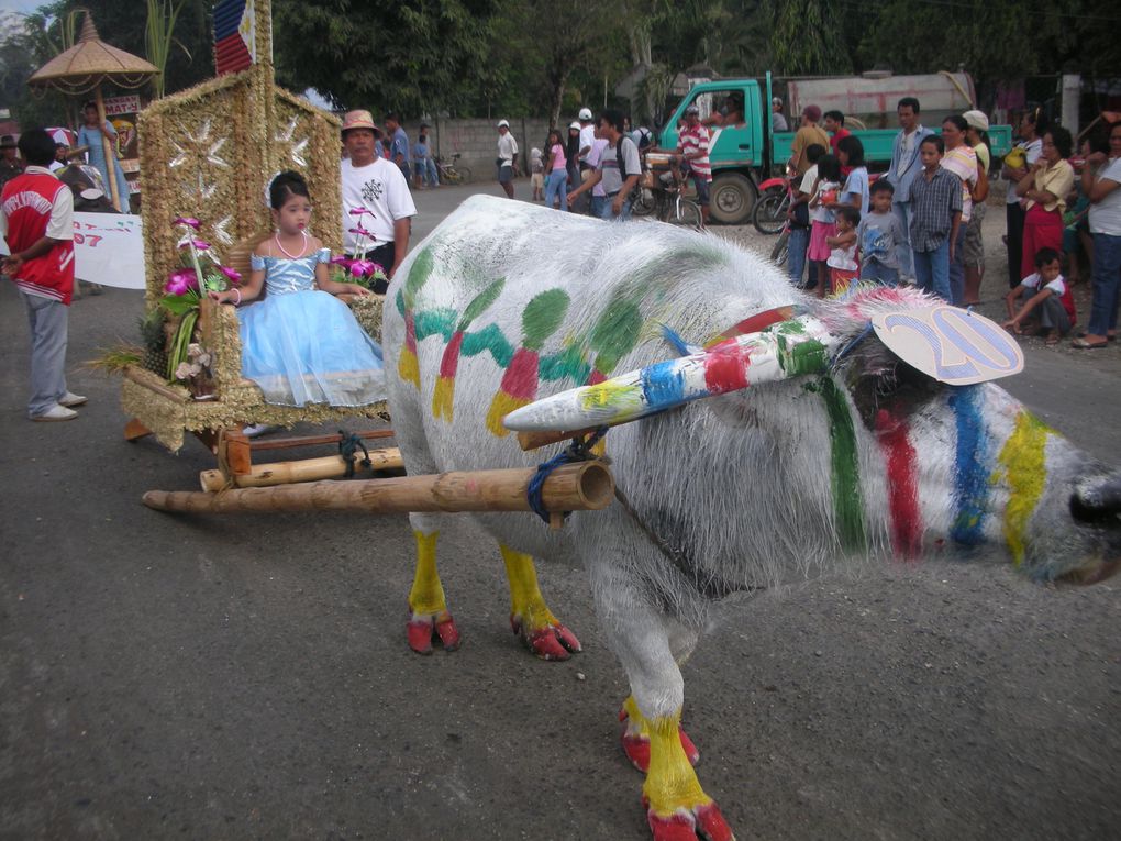 Album - Pintados