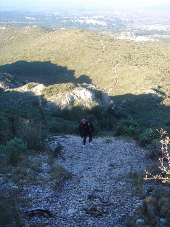 Les 3 courageux de la sortie