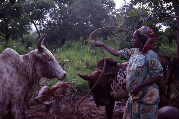 Album - Cameroun--en-couleur