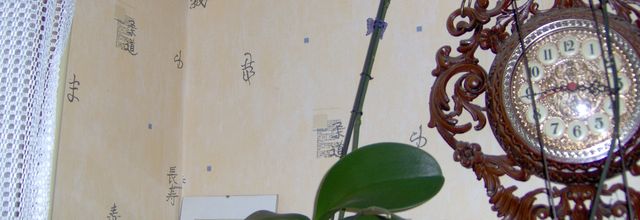mes phals