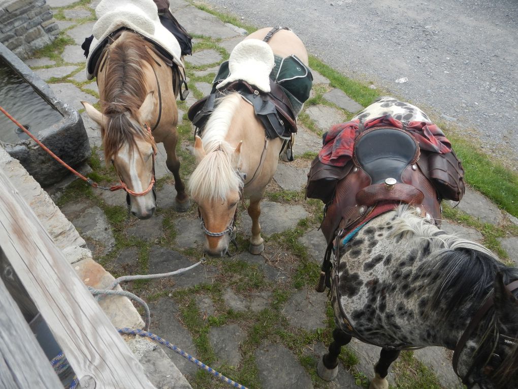 Les Aravis, la route de la soif