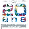 Exposition à Vaux-Sur-Mer (17) du 11 au 20 mai 2019
