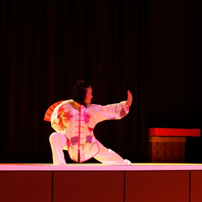 Album - Gala-Arts-martiaux-Tatami-et-Zenitude-2013