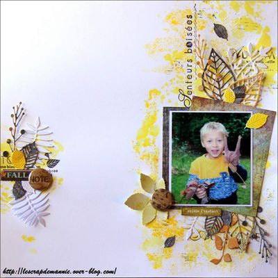 Saisir l'instant  / Inspi novembre Scrap&Co / lift MIS