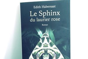 Le Sphinx du laurier rose, d'Edith Habersaat 