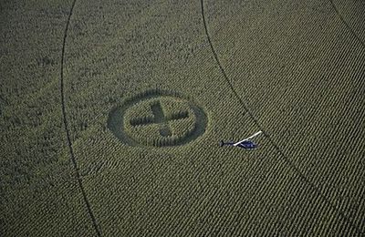 La plainte de transgéniculteurs contre Greenpeace jugée irrecevable