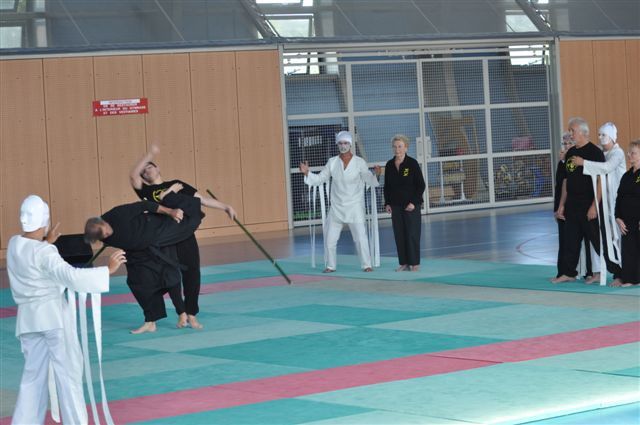 Lors de la dernière fête du club (Juin 2011), la section senior du SVKC en association avec la section Qi Gong et les membres du groupe cascade ont présentés une démonstration artistique de leur travail.