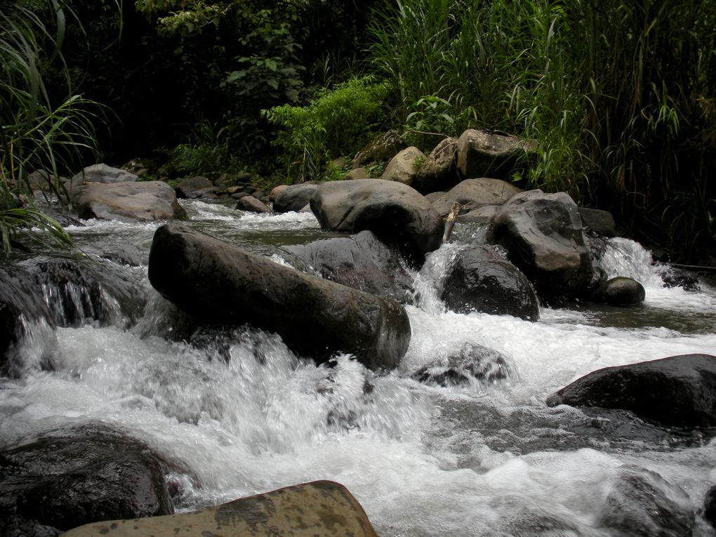 Bocas del Toro, Santa Catalina, Parc Corcovado, Boquete, Isla Bastimento, Puerto Jimenez, Dominical