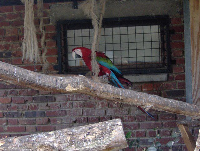 Album - zoo-maubeuge