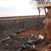Au Brésil, un incendie frappe un campement d'Indiens menacés de 'meurtre de masse'