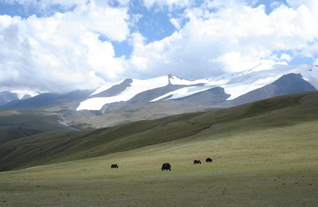 Mongolie, en Altaï, trek dans les Tsambagarav