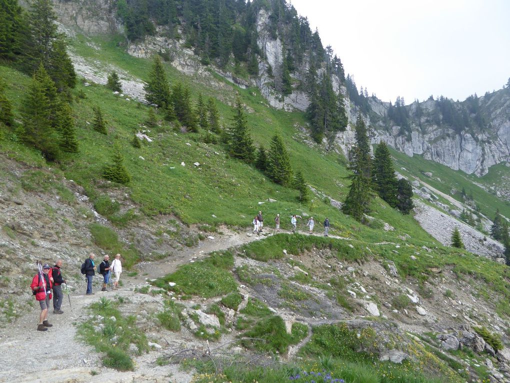 .LES   RANDONNEURS  DE L’OMCAL   EN  HAUTE  SAVOIE