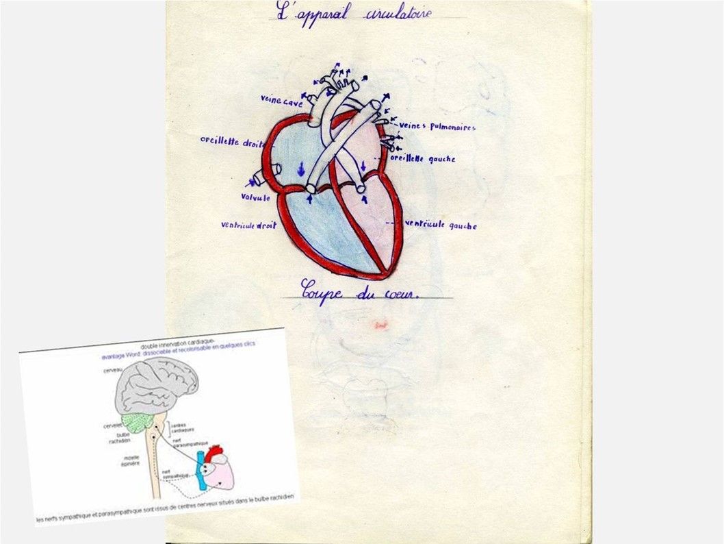 La France - une vraie école primaire