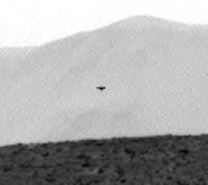 ¿Un  pajaro en Marte?