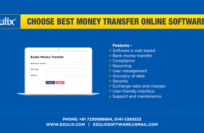 How to Choose B2b Money Transfer Online Software