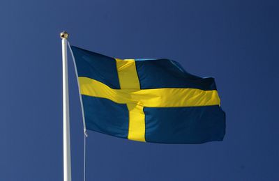 La Suède au « bord de la guerre civile » en raison de la violence généralisée des migrants, avertit un expert