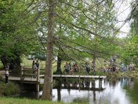 l'étang de Moré à Morcenx, la plage, la pêche, VTT, randonnée pédestre et équestre,